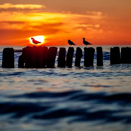 Whiteblue 55 Blizej Morza コウォブジェク