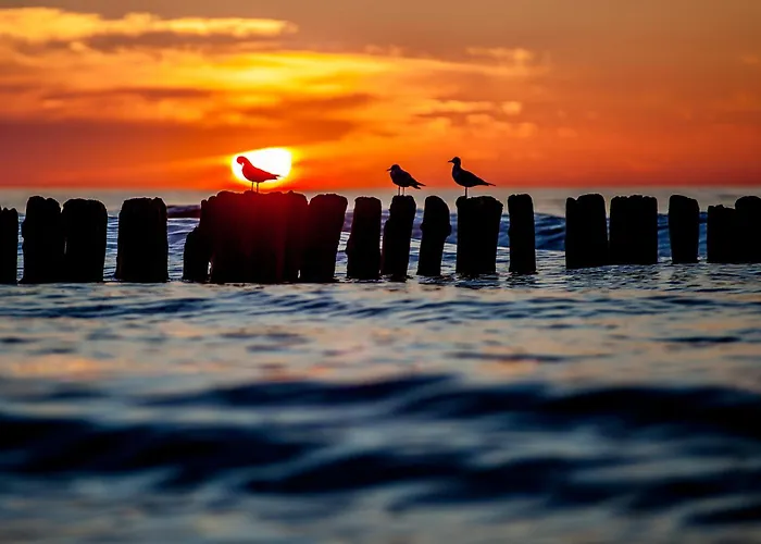 Whiteblue 55 Blizej Morza Kolobřeh